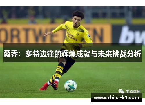 桑乔：多特边锋的辉煌成就与未来挑战分析